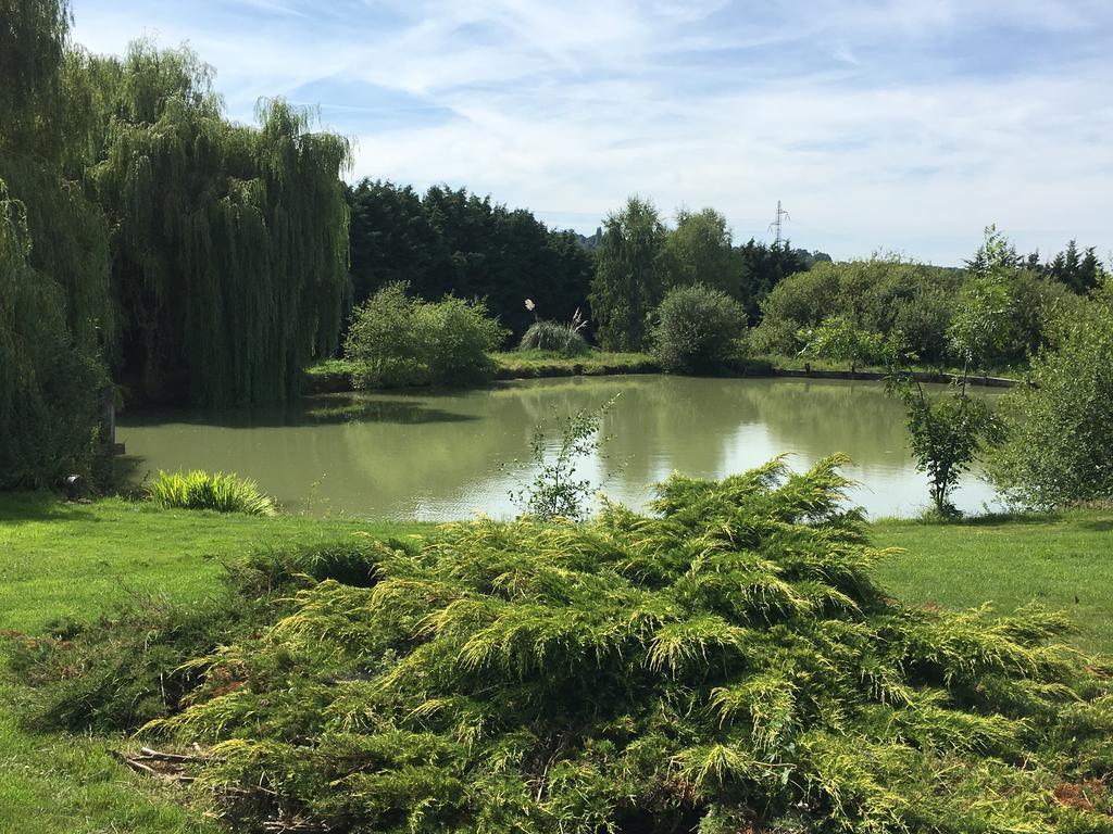 Gites - Domaine De Geffosse Pont-Évêque Eksteriør billede